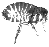 title-img