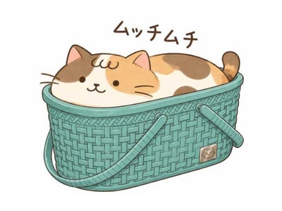 きつ過ぎ