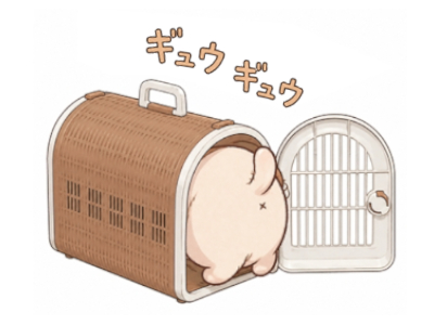 狭過ぎ