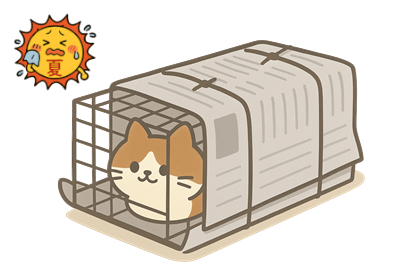 summerTrap