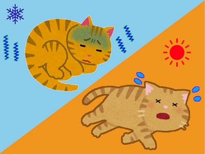 Temperature