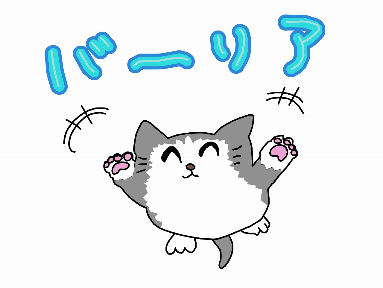 barrierCat