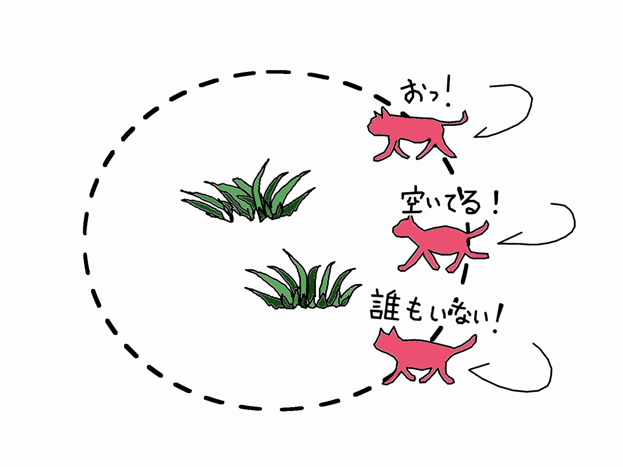frame